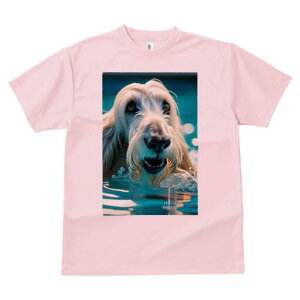 AtKnEh TVc fB[X t@  t  vg JWA 킢 lԗp h ̃fUC ʔ  AtKnEh v[