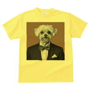 }`[Y TVc fB[X t@  t  vg JWA 킢 lԗp h ̃fUC ʔ ^LV[h }`[Y lN^C |Pbg`[t