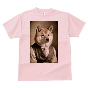 Č TVc fB[X t@  t  vg JWA 킢 lԗp h ̃fUC ʔ Vc Č xXg 