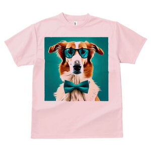 {]C TVc fB[X t@  t  vg JWA 킢 lԗp h ̃fUC ʔ Kl {]C lN^C