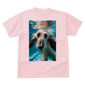 AtKnEh TVc fB[X t@  t  vg JWA 킢 lԗp h ̃fUC ʔ  AtKnEh v[