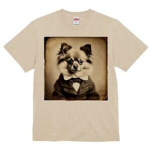 ` TVc fB[X t@  t  vg JWA 킢 lԗp h ̃fUC ʔ X[c ` lN^C