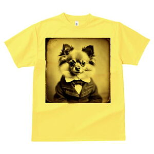 ` TVc fB[X t@  t  vg JWA 킢 lԗp h ̃fUC ʔ X[c ` lN^C