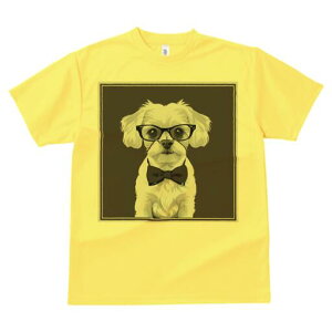 }`[Y TVc fB[X t@  t  vg JWA 킢 lԗp h ̃fUC ʔ Kl }`[Y lN^C