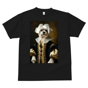 }`[Y TVc fB[X t@  t  vg JWA 킢 lԗp h ̃fUC ʔ ё }`[Y lTX  ߑ