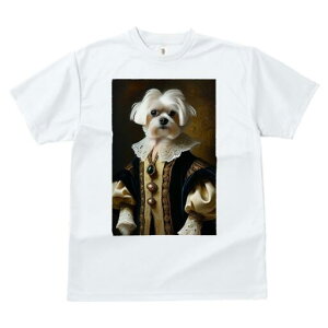 }`[Y TVc fB[X t@  t  vg JWA 킢 lԗp h ̃fUC ʔ ё }`[Y lTX  ߑ