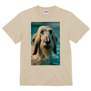 AtKnEh TVc fB[X t@  t  vg JWA 킢 lԗp h ̃fUC ʔ  AtKnEh v[