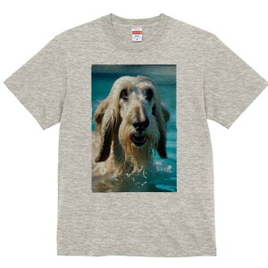 AtKnEh TVc fB[X t@  t  vg JWA 킢 lԗp h ̃fUC ʔ  AtKnEh v[