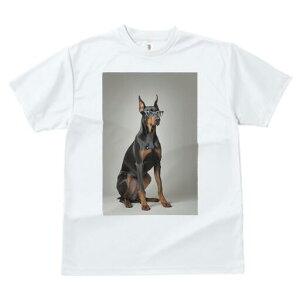 h[x} TVc fB[X t@  t  vg JWA 킢 lԗp h ̃fUC ʔ Kl h[x}