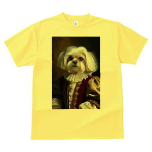 }`[Y TVc fB[X t@  t  vg JWA 킢 lԗp h ̃fUC ʔ ё }`[Y lTX ߑ 