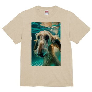 AtKnEh TVc fB[X t@  t  vg JWA 킢 lԗp h ̃fUC ʔ  AtKnEh 