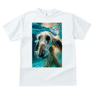 AtKnEh TVc fB[X t@  t  vg JWA 킢 lԗp h ̃fUC ʔ  AtKnEh 