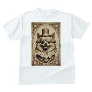 |jA TVc fB[X t@  t  vg JWA 킢 lԗp h ̃fUC ʔ T[JX |jA sG Xq g