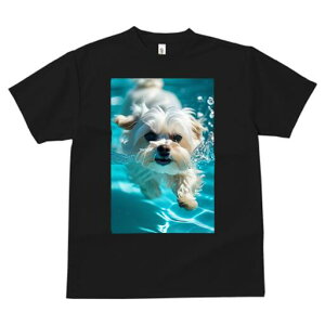 }`[Y TVc fB[X t@  t  vg JWA 킢 lԗp h ̃fUC ʔ  }`[Y Ԃ v[