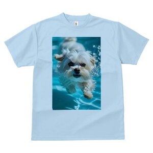 }`[Y TVc fB[X t@  t  vg JWA 킢 lԗp h ̃fUC ʔ  }`[Y Ԃ v[