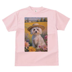 }`[Y TVc fB[X t@  t  vg JWA 킢 lԗp h ̃fUC ʔ Xq }`[Y  i 