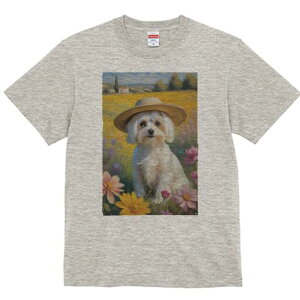 }`[Y TVc fB[X t@  t  vg JWA 킢 lԗp h ̃fUC ʔ Xq }`[Y  i 