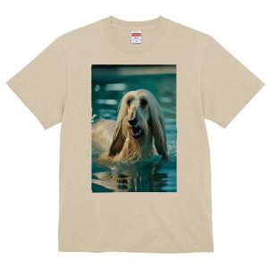 AtKnEh TVc fB[X t@  t  vg JWA 킢 lԗp h ̃fUC ʔ  AtKnEh  Ԃ