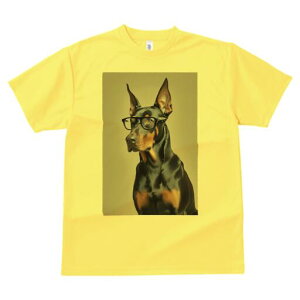 h[x} TVc fB[X t@  t  vg JWA 킢 lԗp h ̃fUC ʔ Kl h[x}