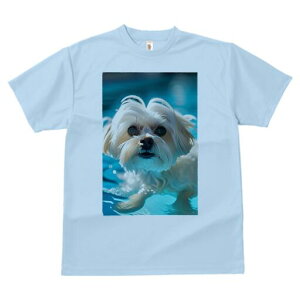 }`[Y TVc fB[X t@  t  vg JWA 킢 lԗp h ̃fUC ʔ  }`[Y v[