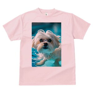 }`[Y TVc fB[X t@  t  vg JWA 킢 lԗp h ̃fUC ʔ  }`[Y v[