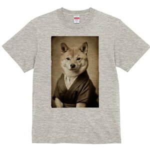 Č TVc fB[X t@  t  vg JWA 킢 lԗp h ̃fUC ʔ  Č