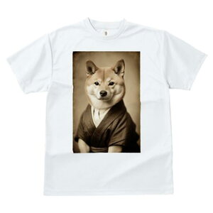 Č TVc fB[X t@  t  vg JWA 킢 lԗp h ̃fUC ʔ  Č