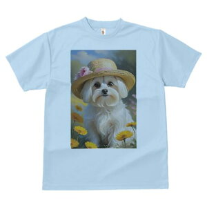 }`[Y TVc fB[X t@  t  vg JWA 킢 lԗp h ̃fUC ʔ Xq }`[Y 