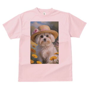 }`[Y TVc fB[X t@  t  vg JWA 킢 lԗp h ̃fUC ʔ Xq }`[Y 