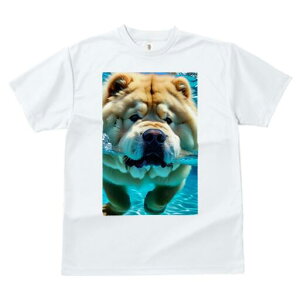 `E`E TVc fB[X t@  t  vg JWA 킢 lԗp h ̃fUC ʔ  `E`E v[