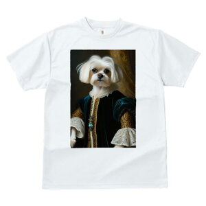 }`[Y TVc fB[X t@  t  vg JWA 킢 lԗp h ̃fUC ʔ  }`[Y lTX  M