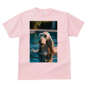 AtKnEh TVc fB[X t@  t  vg JWA 킢 lԗp h ̃fUC ʔ  AtKnEh v[