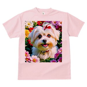 }`[Y TVc fB[X t@  t  vg JWA 킢 lԗp h ̃fUC ʔ  }`[Y t 킢 |bv