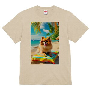 |jA TVc fB[X t@  t  vg JWA 킢 lԗp h ̃fUC ʔ r[` |jA C l 