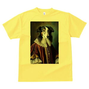 T[L TVc fB[X t@  t  vg JWA 킢 lԗp h ̃fUC ʔ ё T[L lTX  GKg