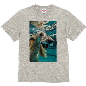 AtKnEh TVc fB[X t@  t  vg JWA 킢 lԗp h ̃fUC ʔ  AtKnEh 