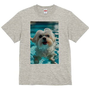 }`[Y TVc fB[X t@  t  vg JWA 킢 lԗp h ̃fUC ʔ  }`[Y v[