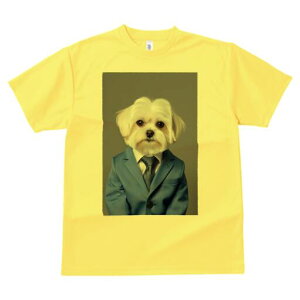 }`[Y TVc fB[X t@  t  vg JWA 킢 lԗp h ̃fUC ʔ X[c }`[Y lN^C rWlX