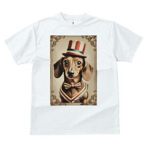 _bNXth TVc fB[X t@  t  vg JWA 킢 lԗp h ̃fUC ʔ Xq _bNXth lN^C t[