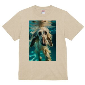 AtKnEh TVc fB[X t@  t  vg JWA 킢 lԗp h ̃fUC ʔ  AtKnEh 