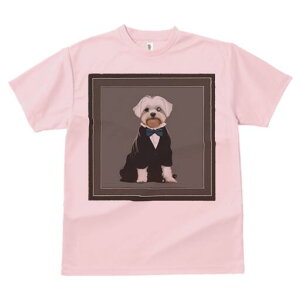 }`[Y TVc fB[X t@  t  vg JWA 킢 lԗp h ̃fUC ʔ ^LV[h }`[Y lN^C