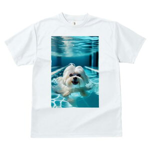 }`[Y TVc fB[X t@  t  vg JWA 킢 lԗp h ̃fUC ʔ v[ }`[Y 