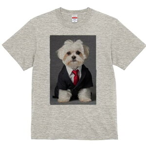 }`[Y TVc fB[X t@  t  vg JWA 킢 lԗp h ̃fUC ʔ X[c }`[Y lN^C rWlX