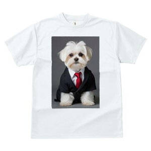 }`[Y TVc fB[X t@  t  vg JWA 킢 lԗp h ̃fUC ʔ X[c }`[Y lN^C rWlX