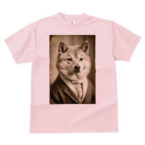 Č TVc fB[X t@  t  vg JWA 킢 lԗp h ̃fUC ʔ X[c Č lN^C g Be[W