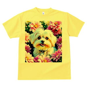 }`[Y TVc fB[X t@  t  vg JWA 킢 lԗp h ̃fUC ʔ  }`[Y fCW[