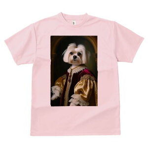 }`[Y TVc fB[X t@  t  vg JWA 킢 lԗp h ̃fUC ʔ ё }`[Y M ߑ {