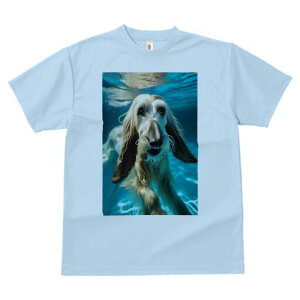 AtKnEh TVc fB[X t@  t  vg JWA 킢 lԗp h ̃fUC ʔ  AtKnEh 