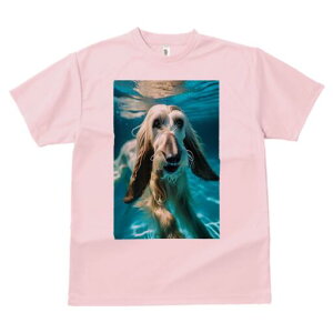 AtKnEh TVc fB[X t@  t  vg JWA 킢 lԗp h ̃fUC ʔ  AtKnEh 