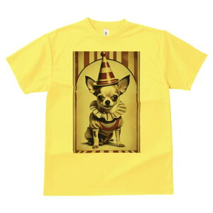 ` TVc fB[X t@  t  vg JWA 킢 lԗp h ̃fUC ʔ T[JX ` sG Xq XgCv